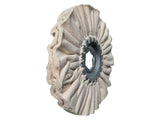 Schwabbelscheibe Polierring 150 × 19 Sechskant – Ersatz für BIESSE N3405N0002 / SCM 0000107048A – Kantenanleimmaschine STREAM, AKRON, JADE, Olimpic